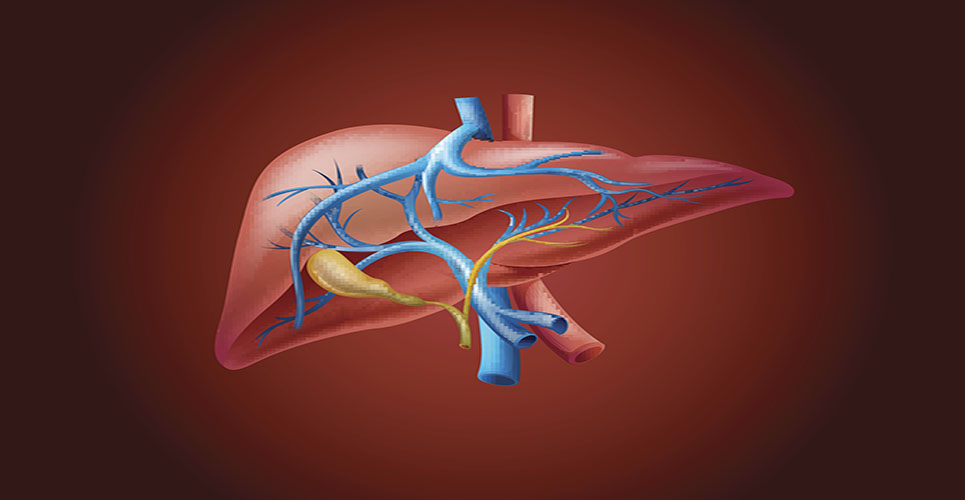 What’s Involved in a Liver Disease Evaluation?